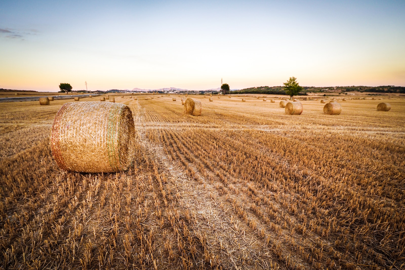 SCRISOARE DESCHISĂ – NECESITATE prelungire interdictie import cereale UCRAINA si indirect din alte state cu provenienta tot Ucraina_12.09.2023